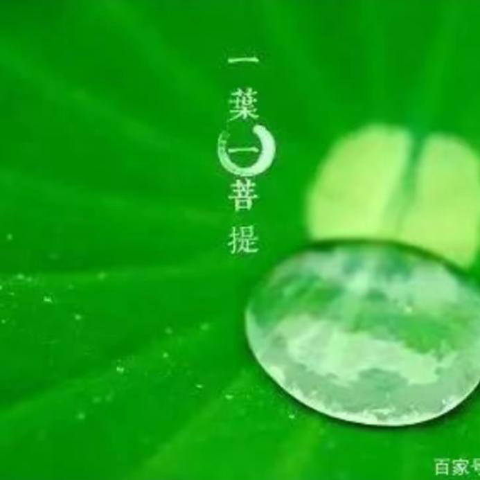 静心