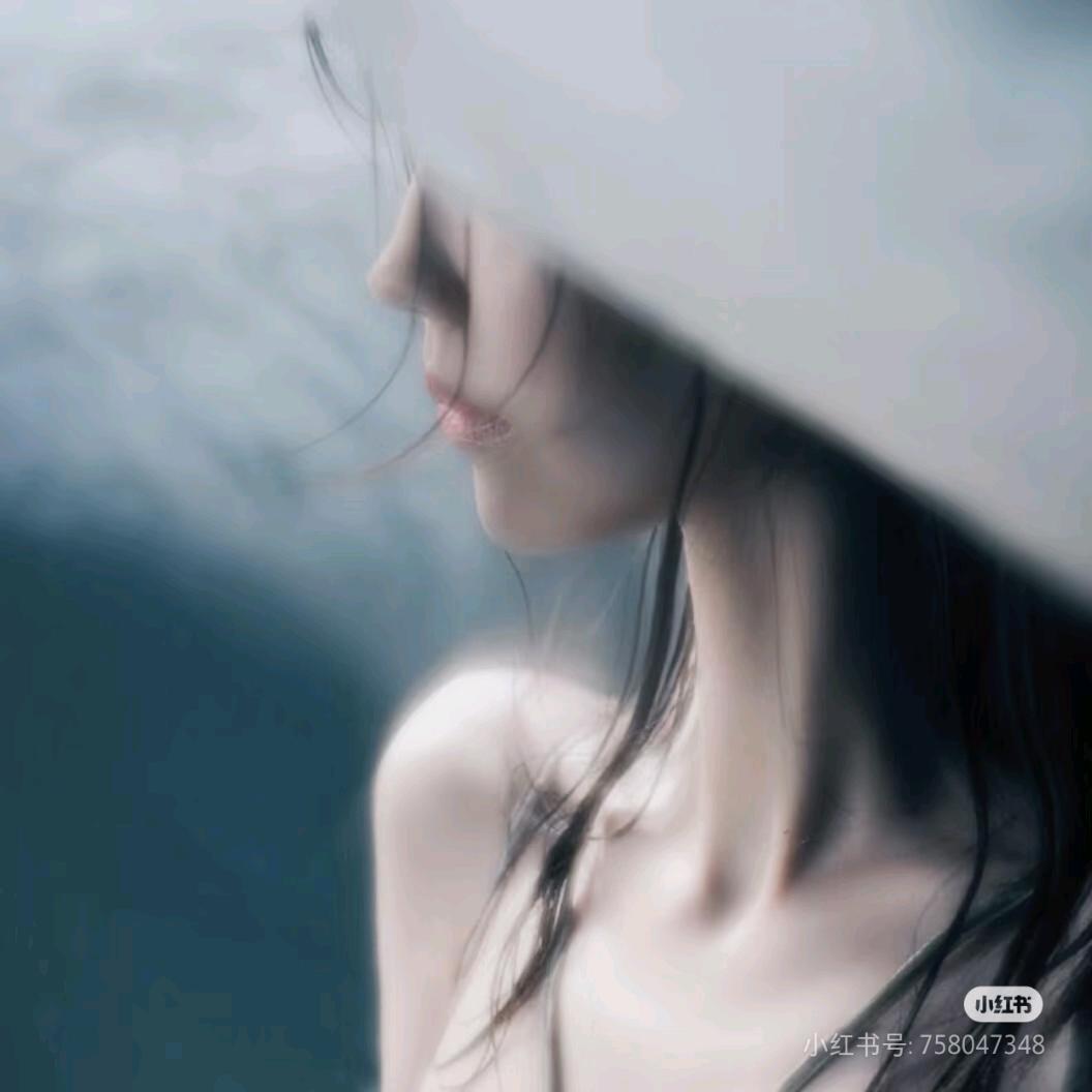 洋葱圈