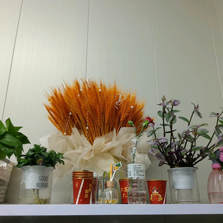 多金手工穿戴甲