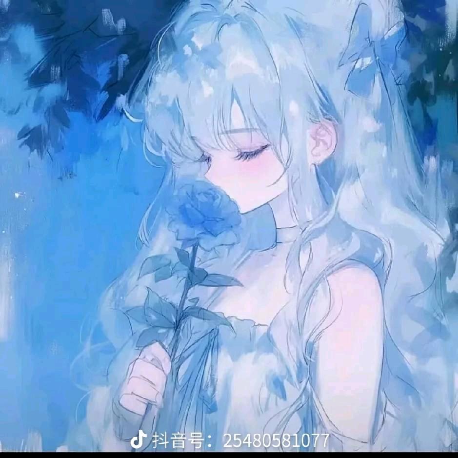 不咕bird头像