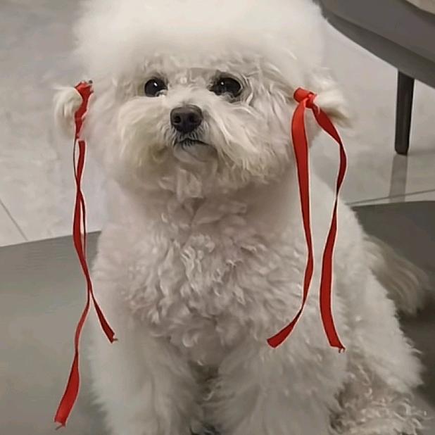 以后的以后