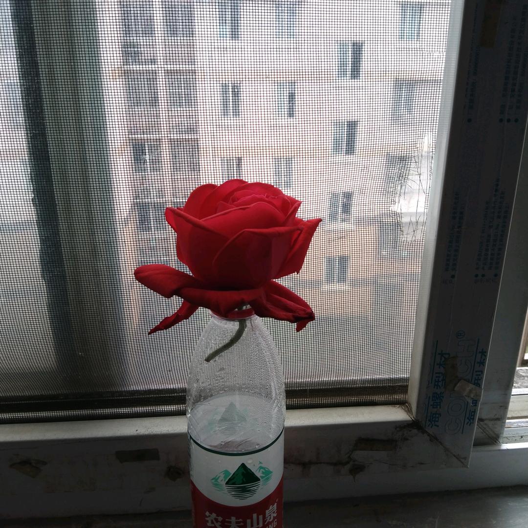 喜乐的心乃是良药，