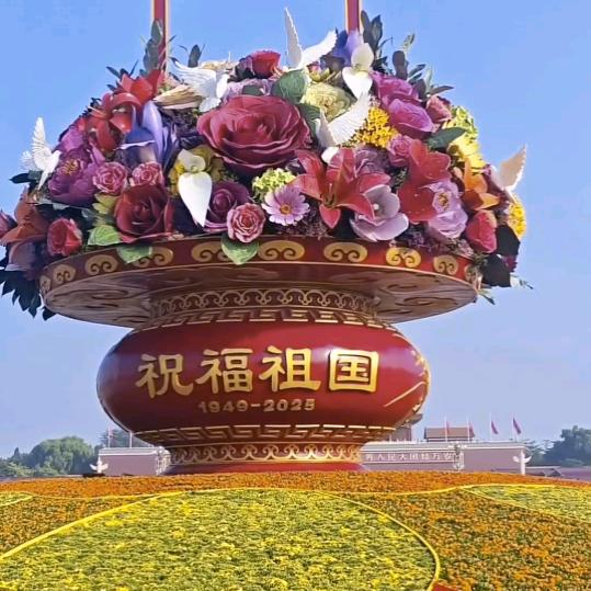 喜洋杨@@@