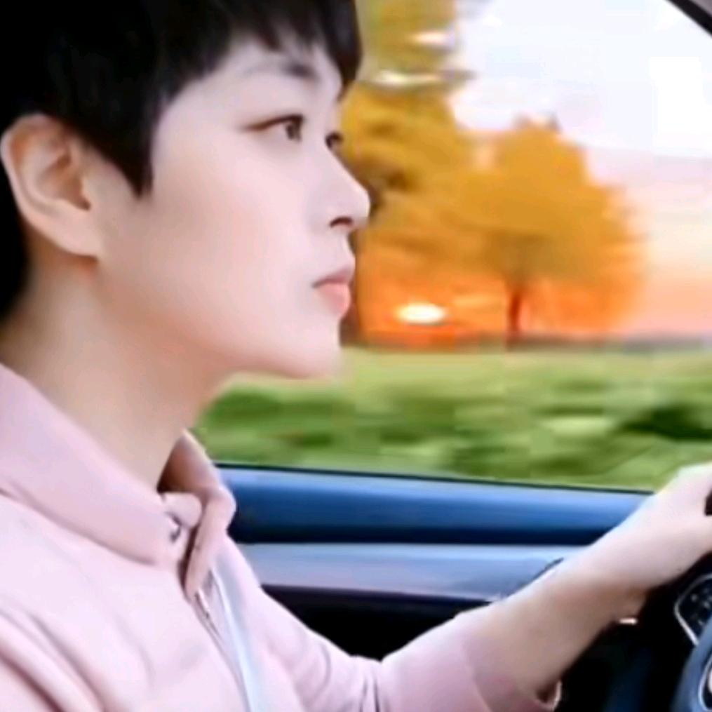 🌹花语清韵🌹