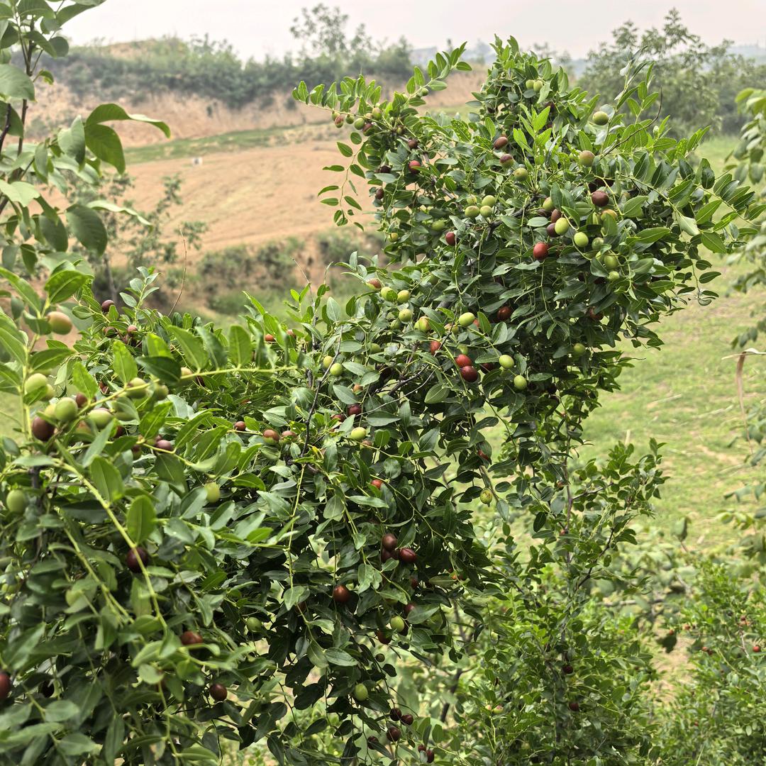 回忆刘姐