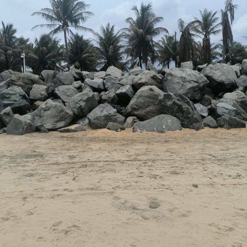 🌴陈🌴