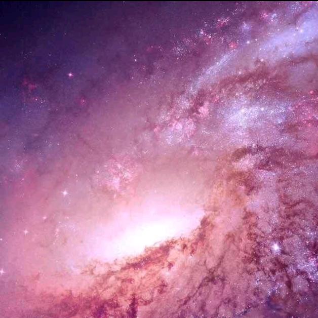 杠铃片是粉色的