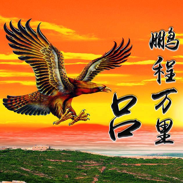 捷捷板带根哥