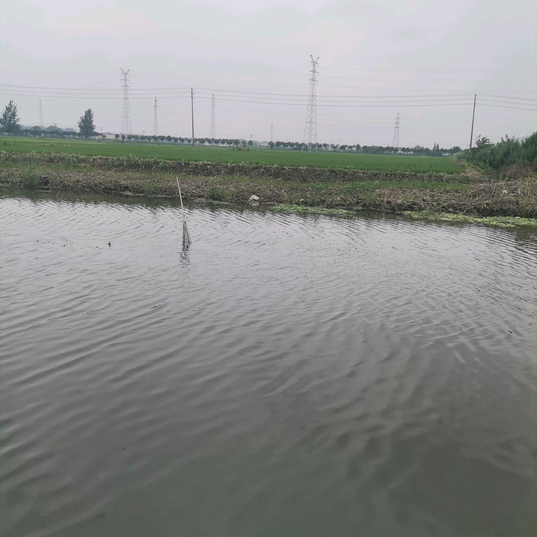 珠城