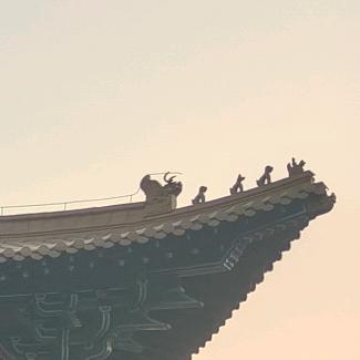 ο▬▬▬▬◙🤛🙏🏿🤜◙▬▬▬o