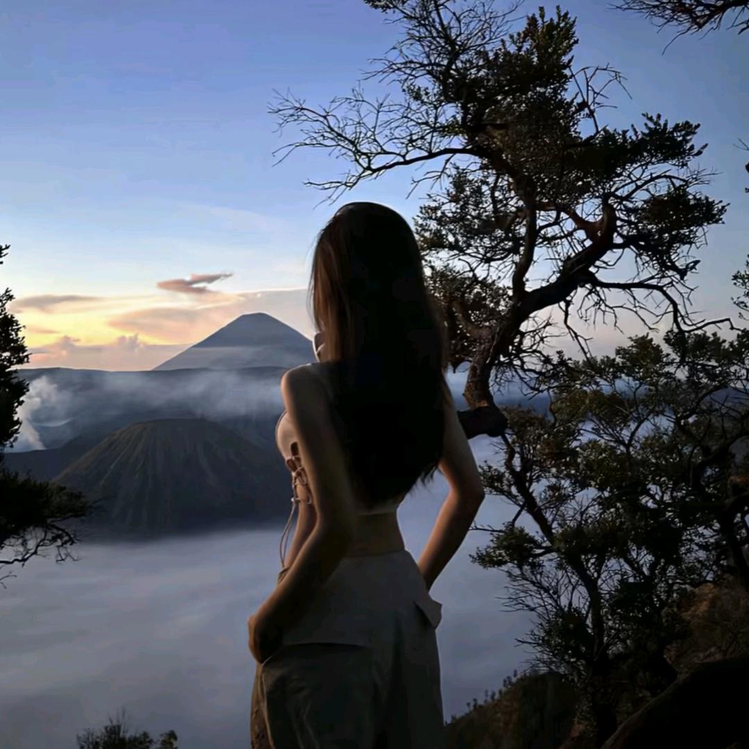 小狸花