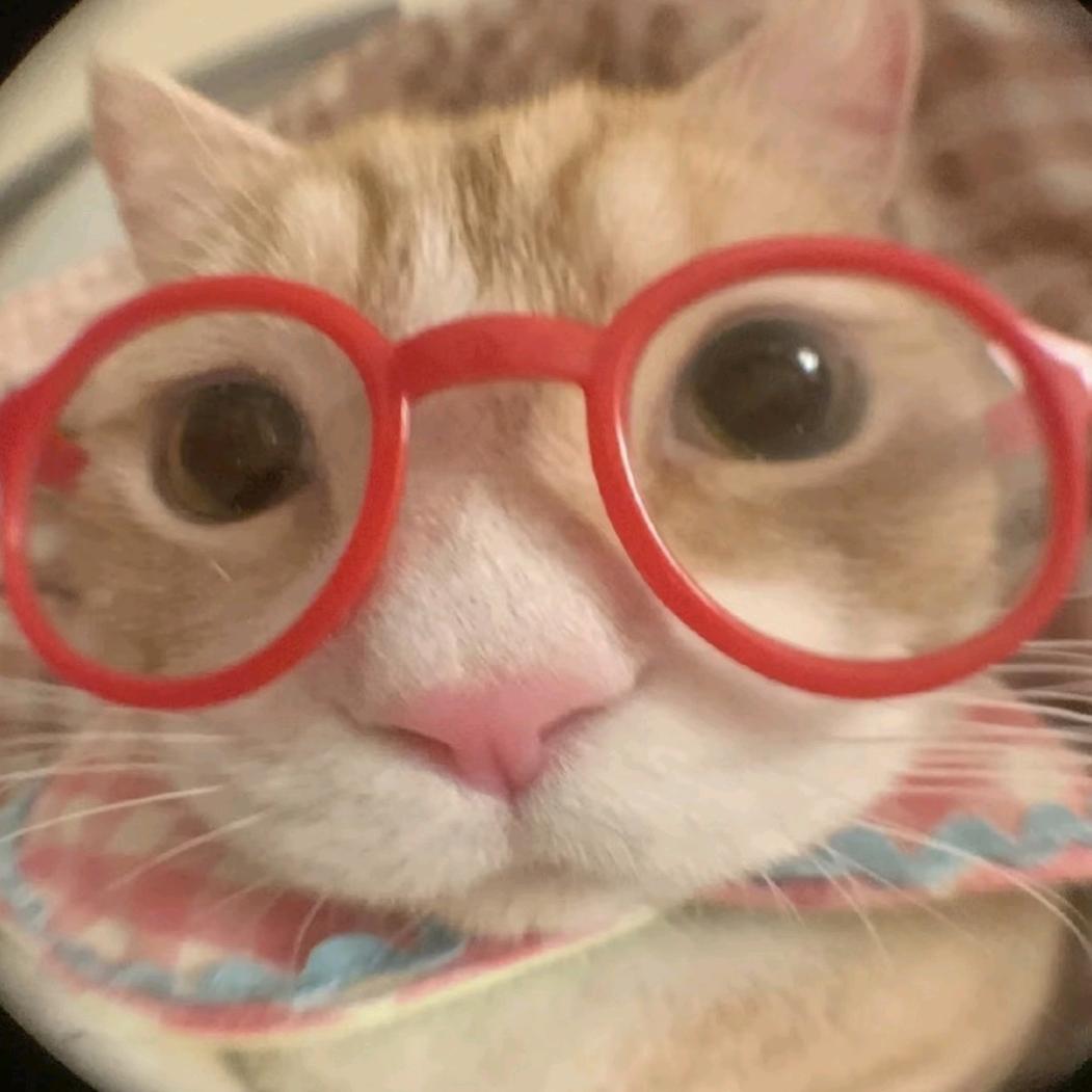 未知鱼