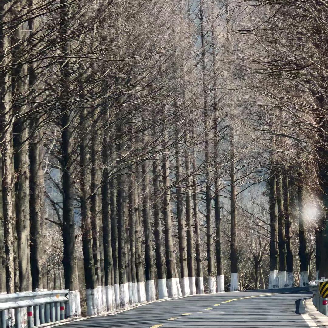 隆回县梦越百货铺（个体工商户）