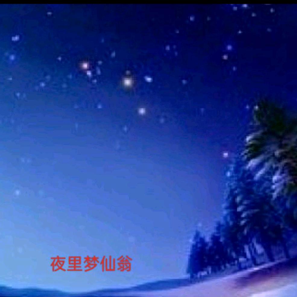 夜里梦仙翁