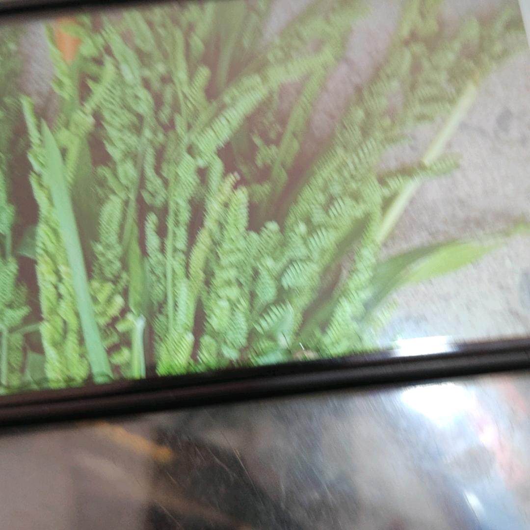 凡事能让快乐的都是药