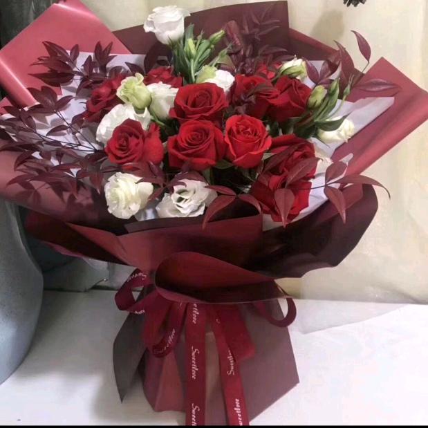 ☘️☘️☘️☘️☘️☘️