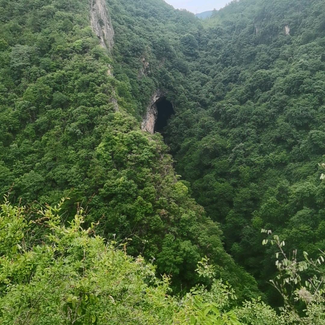 一拳一个嘤嘤怪