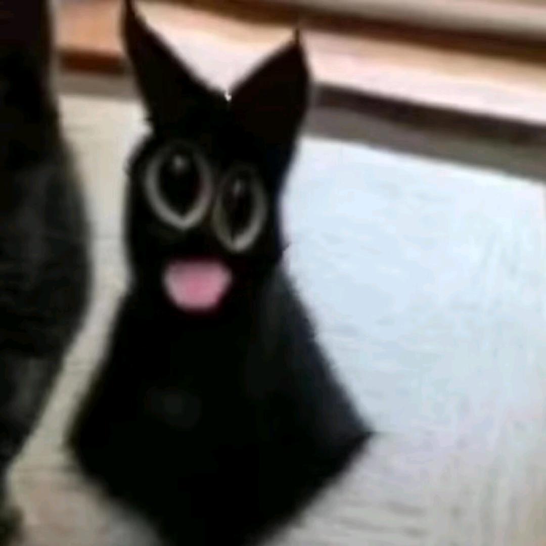 Aaaa鸢Y_