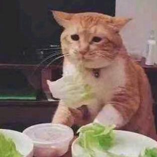 西兰花哈哈头像