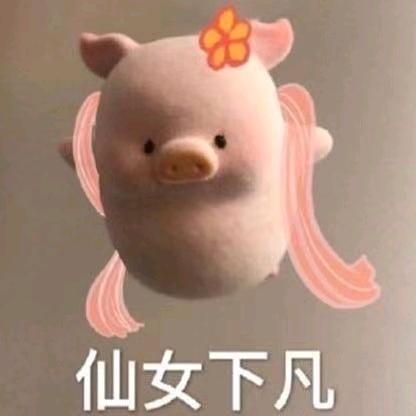 呆呆队长