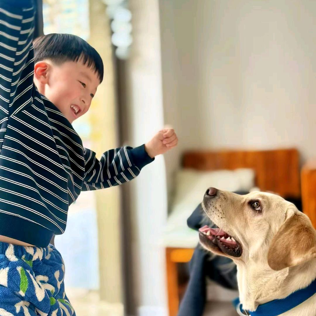 好想你枣   怀建元山药粉，批发零售