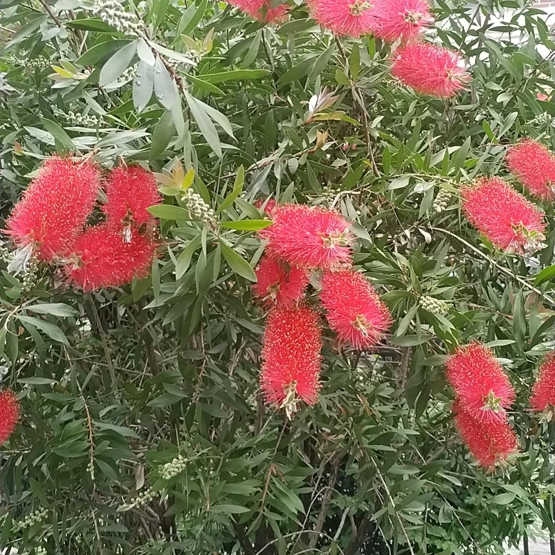 五保户