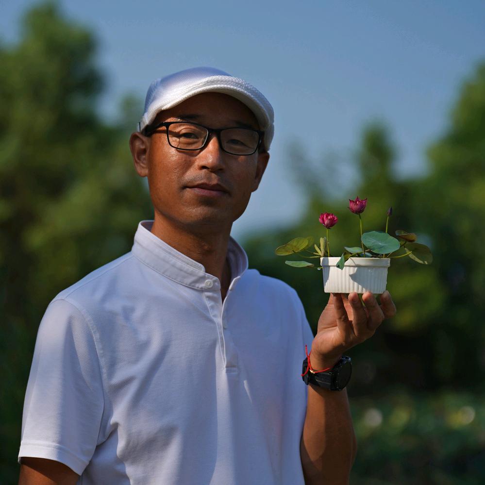 周劲松碗莲 微型莲花荷花