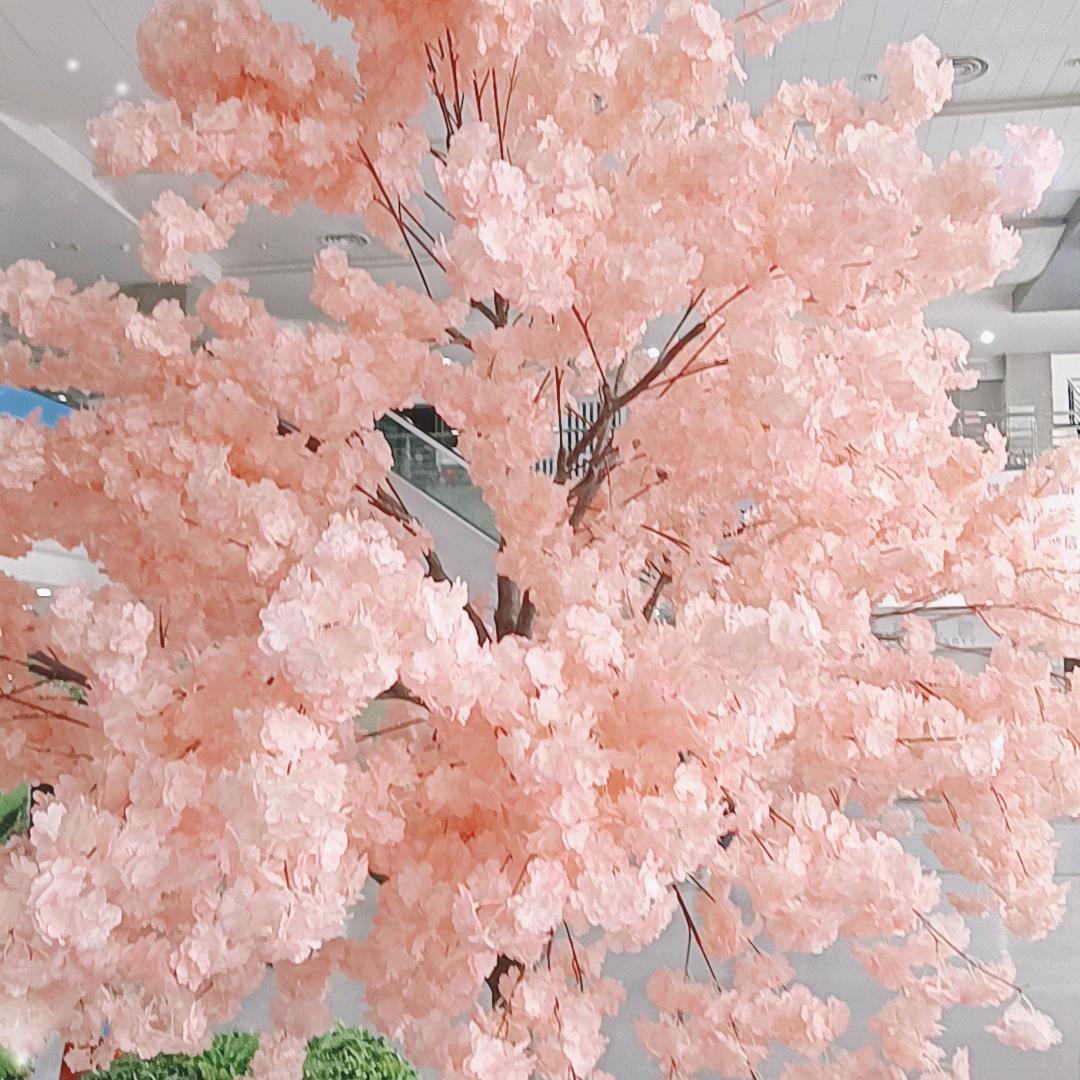 檀境