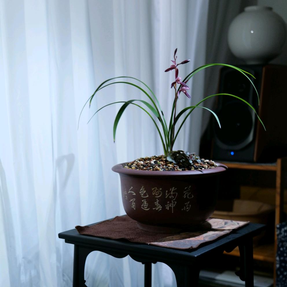 九 月