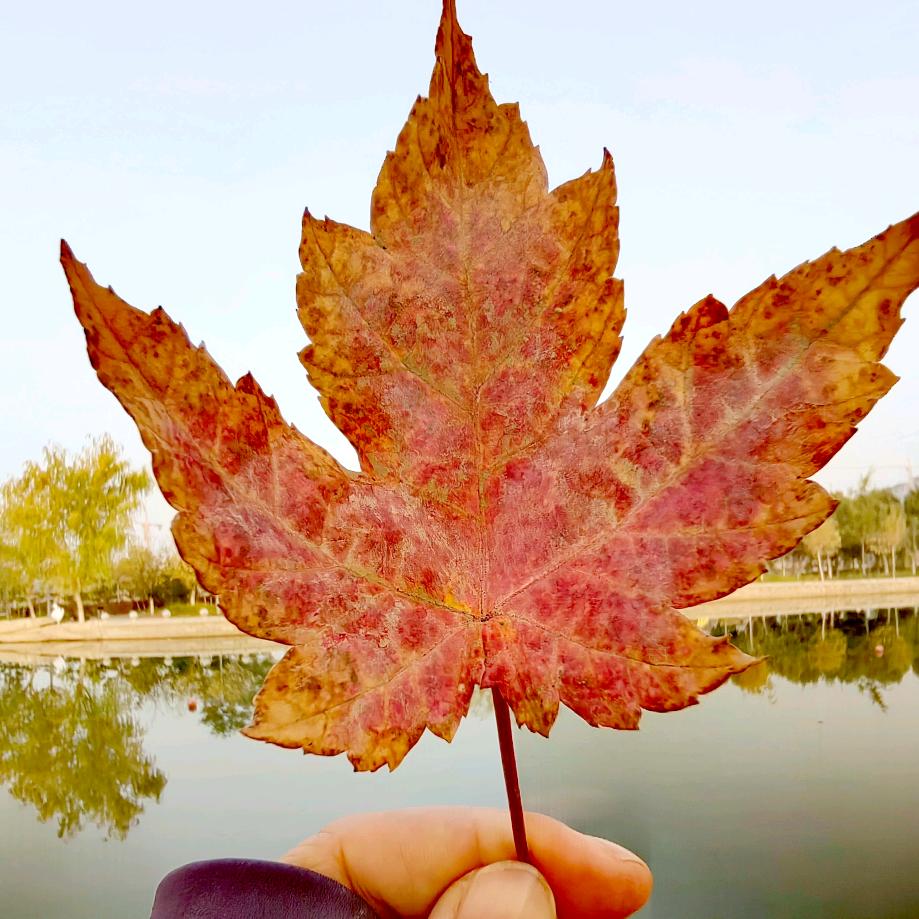 往后余生请多指教