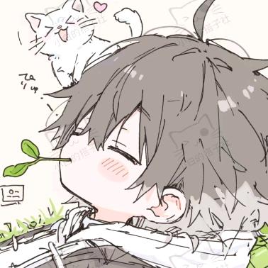 雾眠