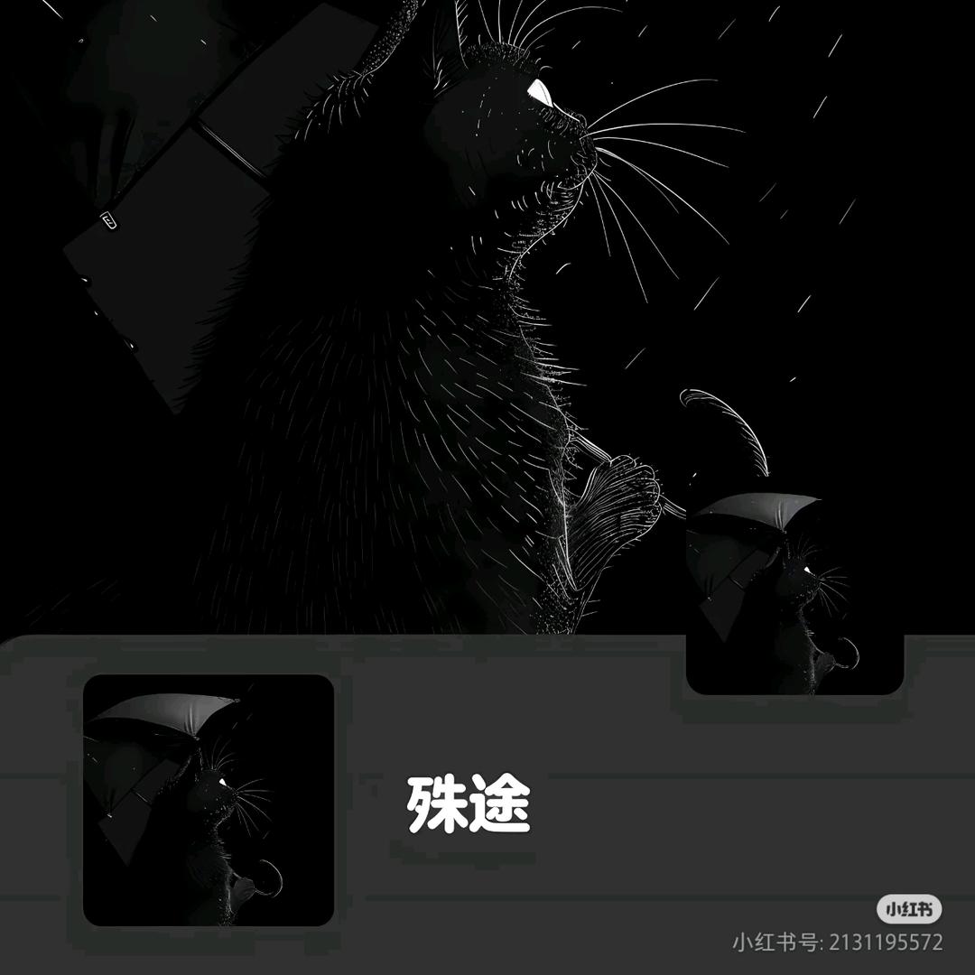 没有光了