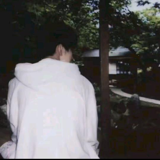 慵懒的寄居蟹