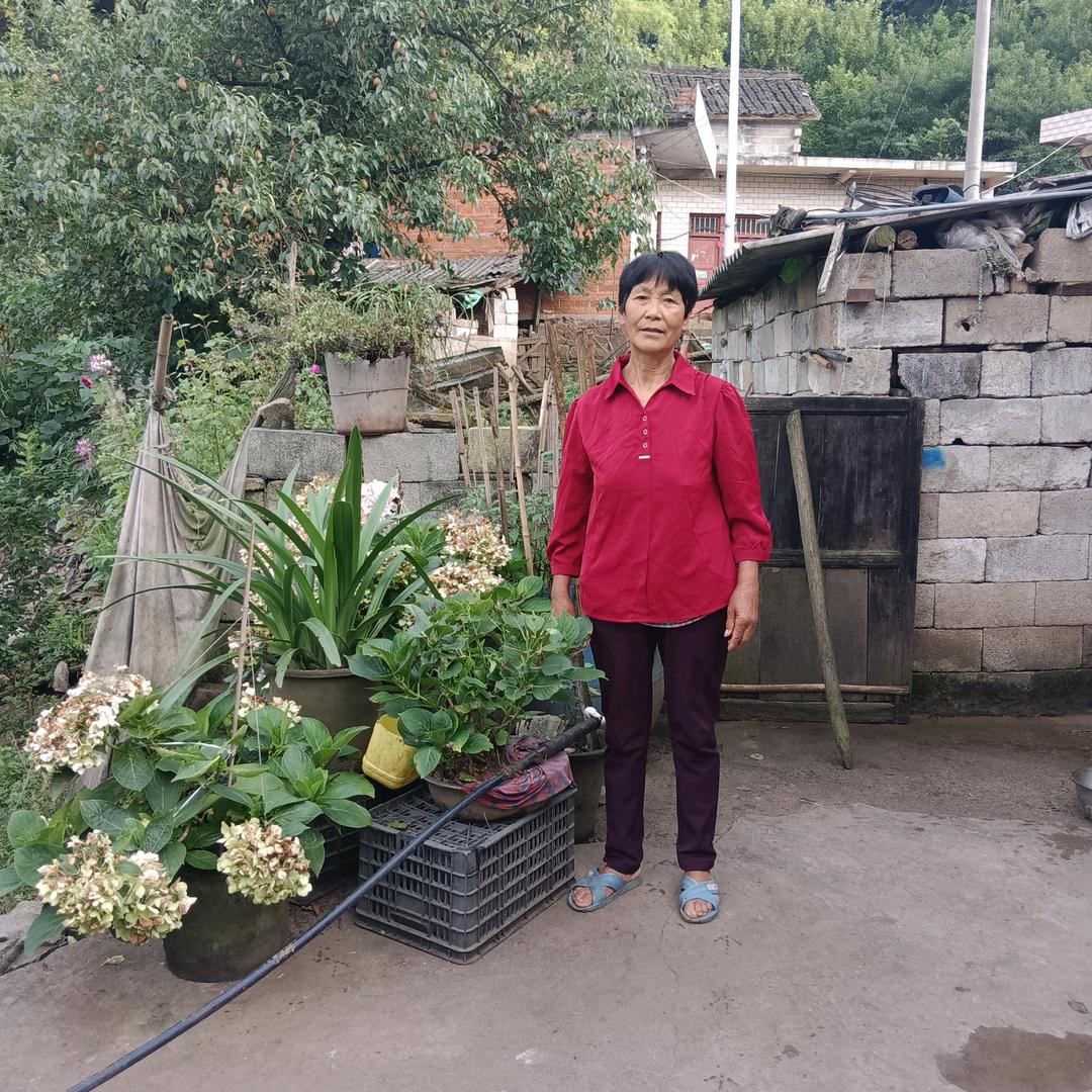 陈姐（直播号唱人生歌）