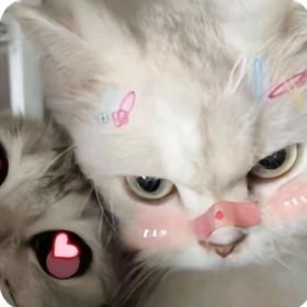 Liˊᗜˋuꪔ̤̮睡不醒🎀