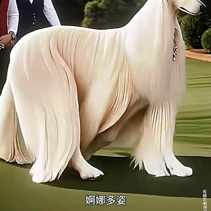郭佳豪