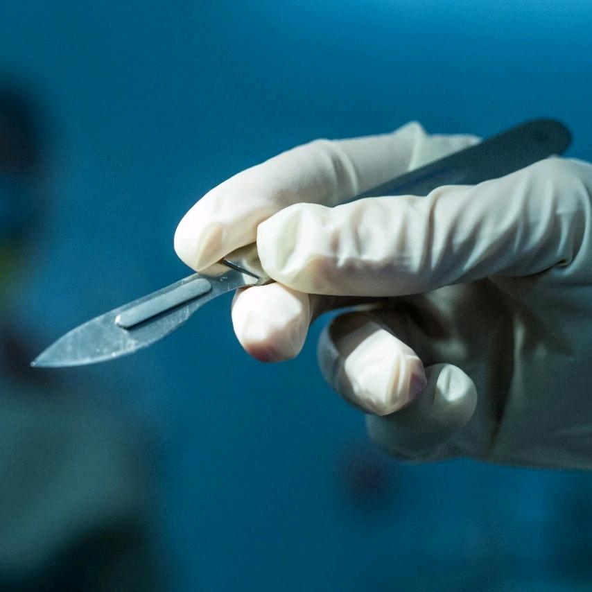 南无阿弥陀佛南无阿弥陀佛