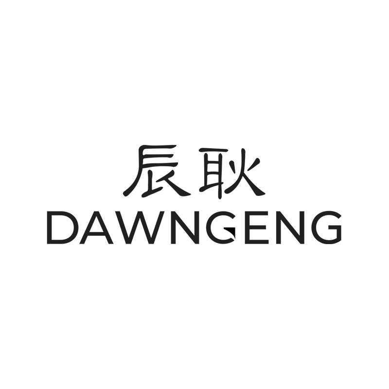 辰耿DAWNGENG