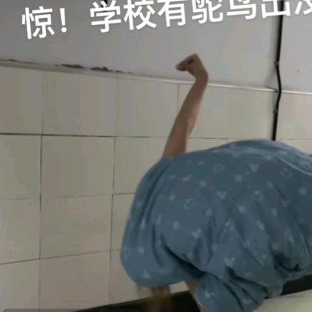 曼陀罗