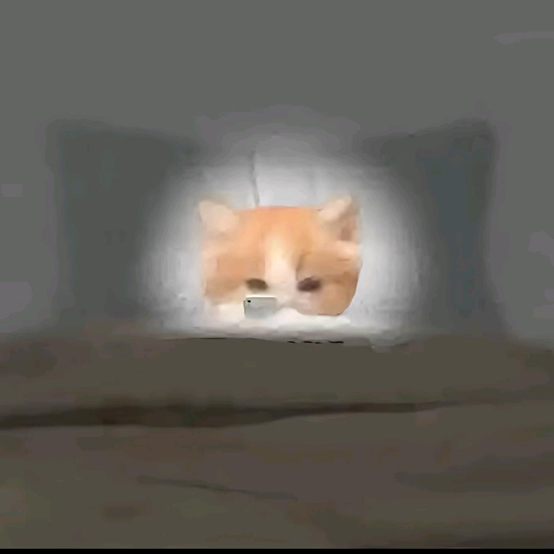 我努力尿的很高 试图掩饰流下来的眼泪