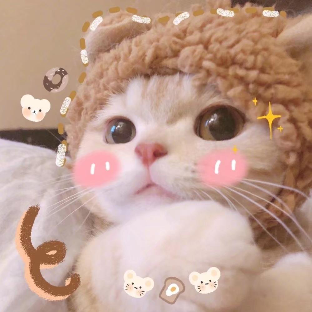 🍒小丸子本丸🍒头像