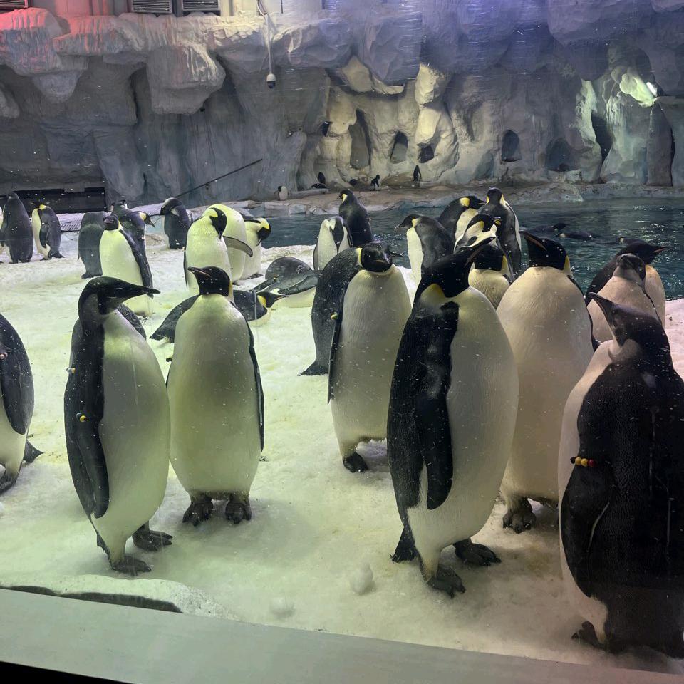 风浪越大，鱼越贵