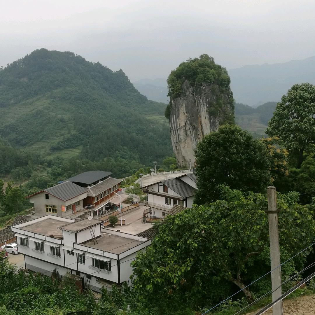 ～宜得随意～
