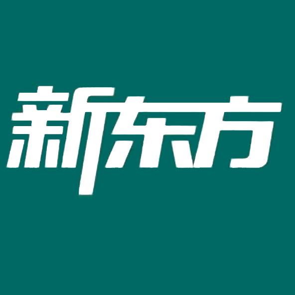 新东方比邻国际中文