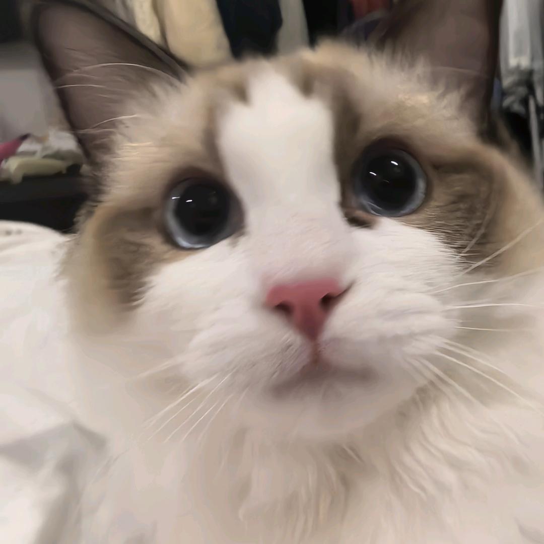 宇宙无敌超级大魔王