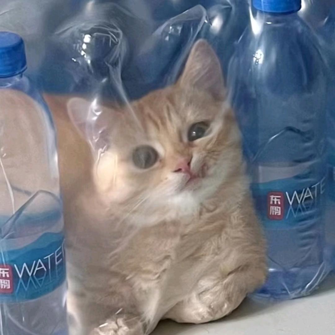 拖拖mo