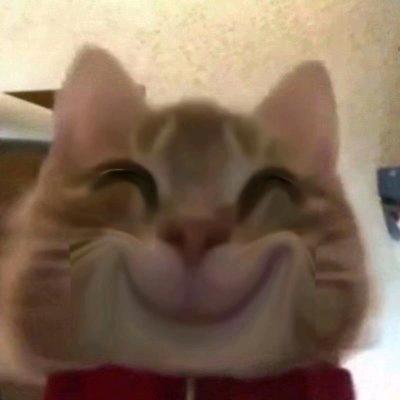 叫姐姐头像
