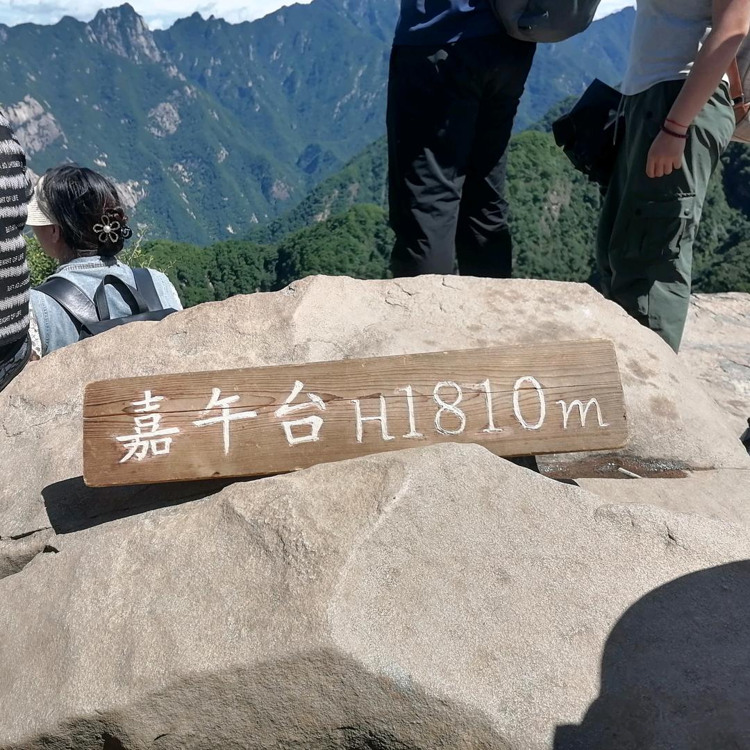 我就是一个打酱油的