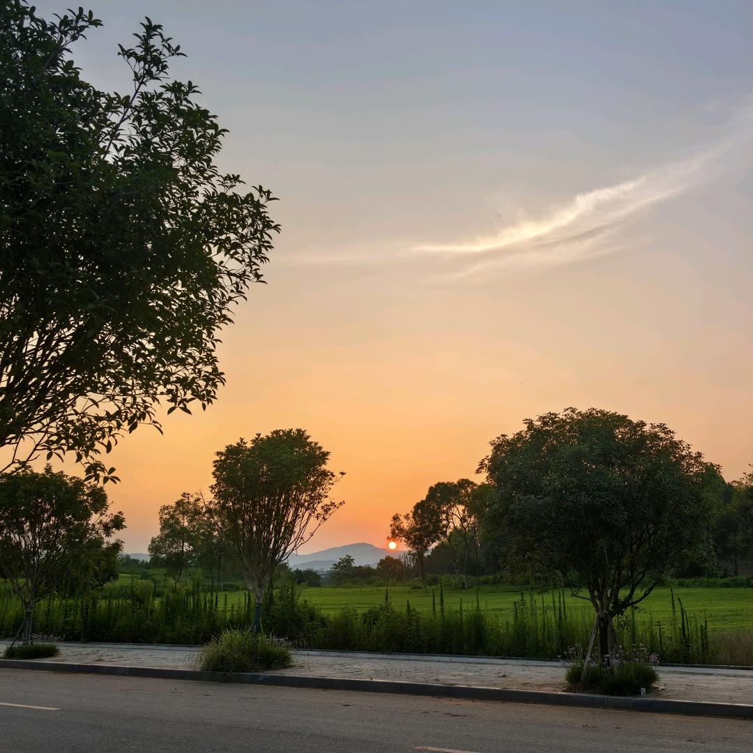 仔仔（爱玩游戏）