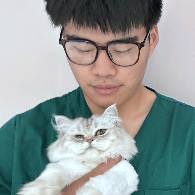 小谷老师(专注猫狗)